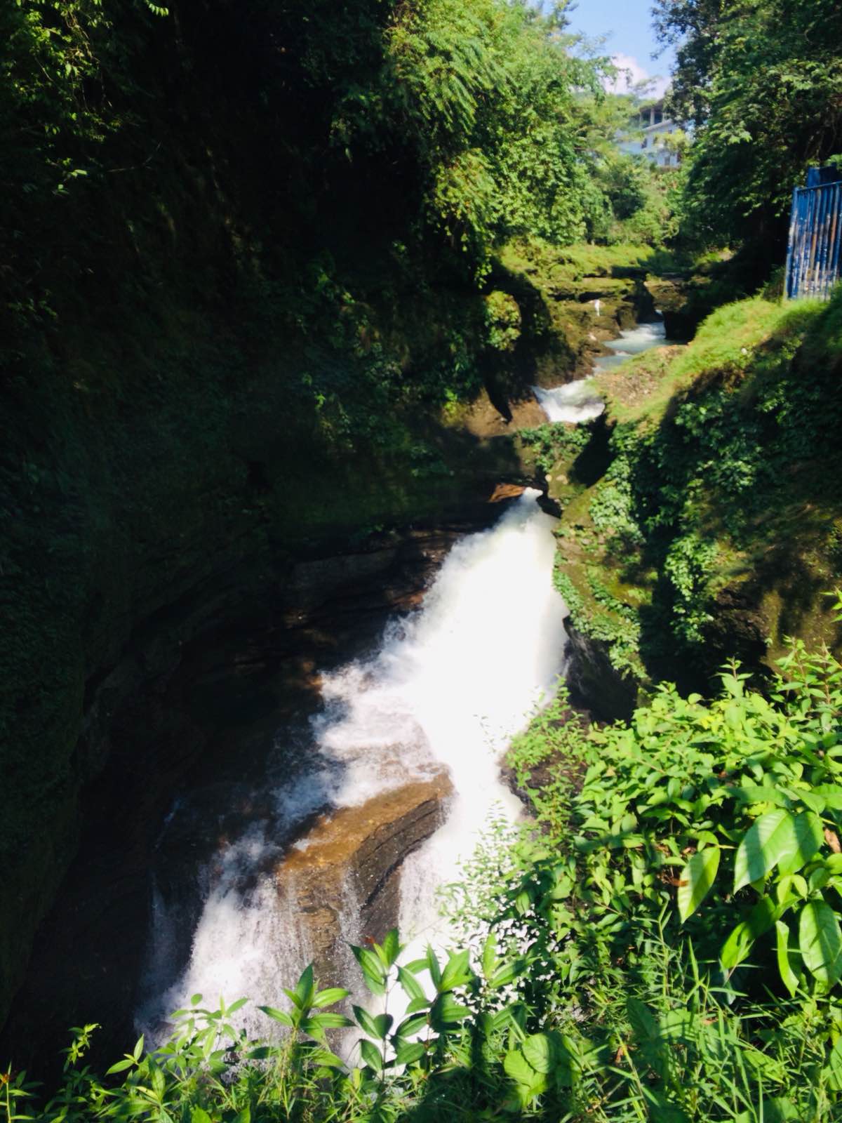 Davi's Fall